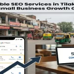 Affordable SEO Services for Small Businesses in Tilak Nagar
